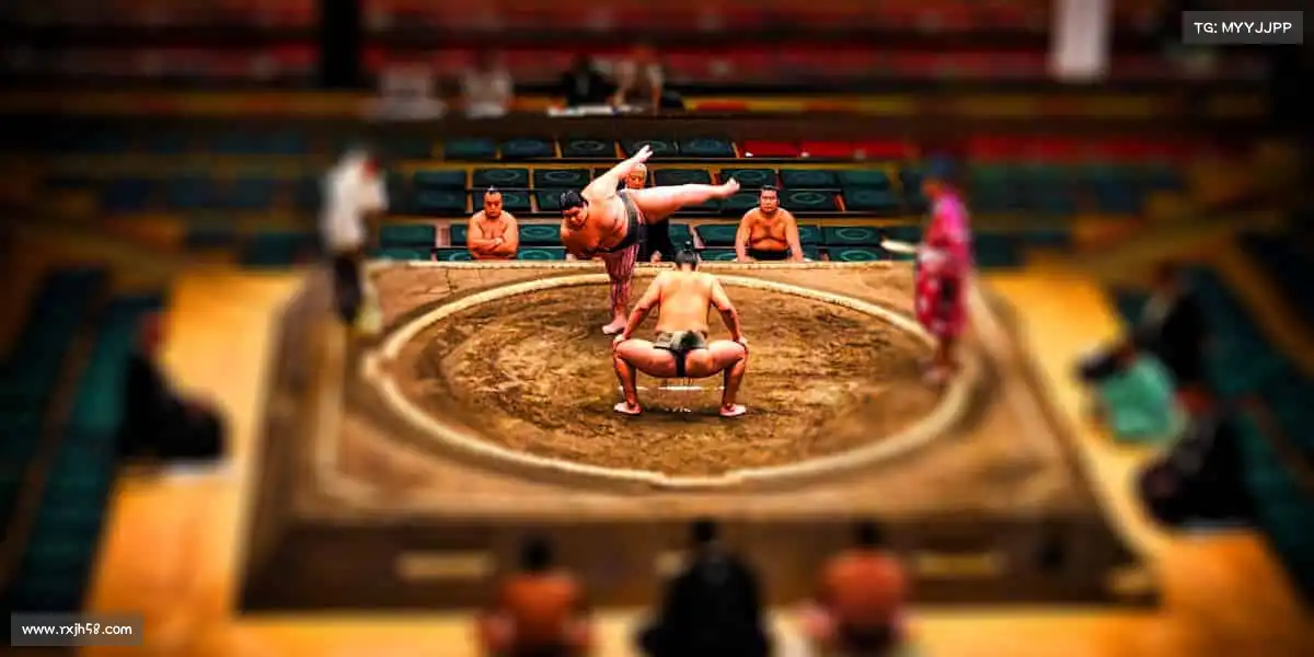 为什么选择我们